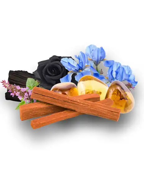 Sandalwood and Amber Clean Fragrance - Clean Fragrances